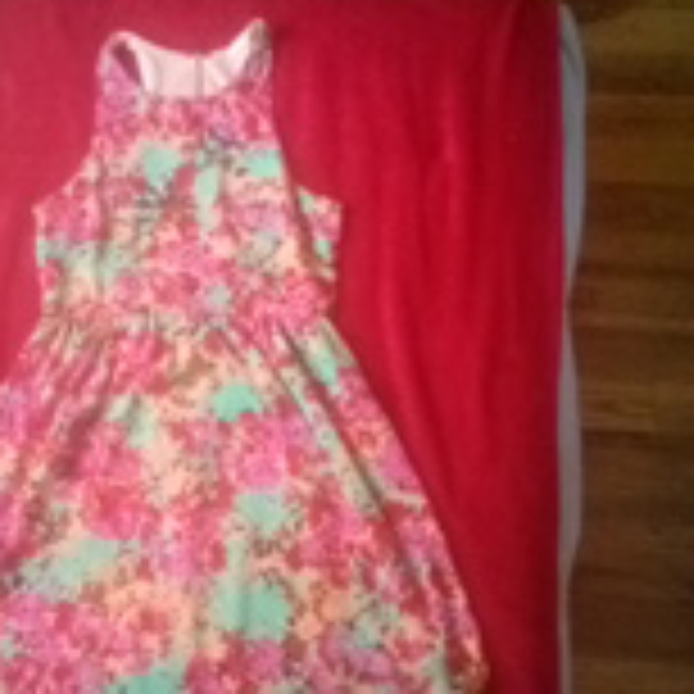 Dress everly dress
